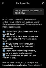 Load image into Gallery viewer, The Scrum Life Coaching System